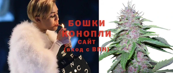 эйфоретик Инта