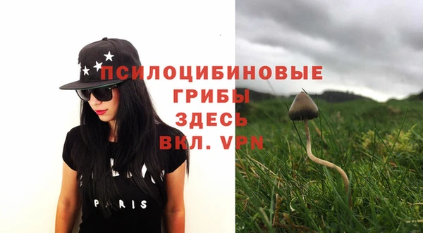 эйфоретик Инта