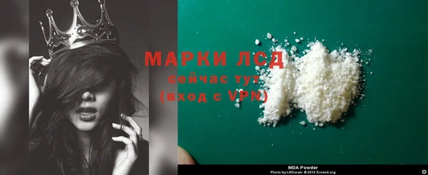 эйфоретик Инта