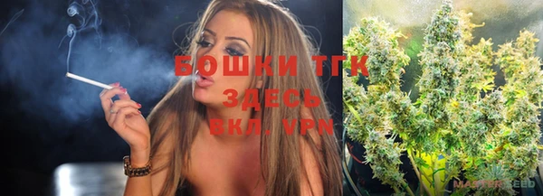 эйфоретик Инта