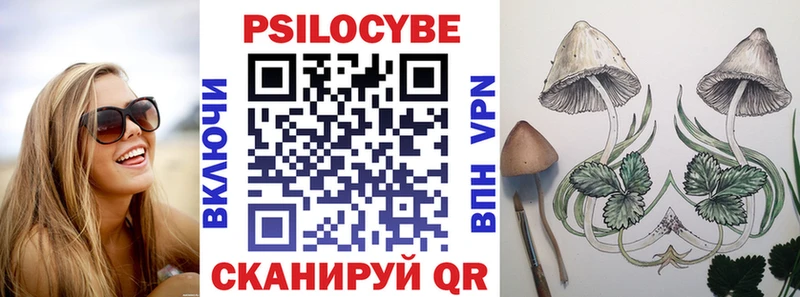 магазин продажи   Кандалакша  Псилоцибиновые грибы GOLDEN TEACHER 