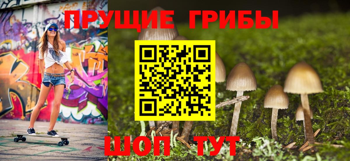 Псилоцибиновые грибы GOLDEN TEACHER  где можно купить   Галлюциногенные грибы Magic Shrooms  Кандалакша  Вход с VPN 